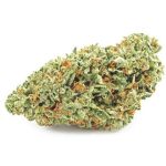 Шишки OG Kush (Гидропоника, бошки) VHQ в Кушве Шишки OG Kush (Гидропоника, бошки) VHQ в Кушве